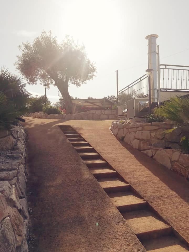 Zio Tonino Bed & Breakfast Termoli Eksteriør bilde